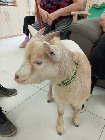 406649296_746430564190647_625688081379041041_n