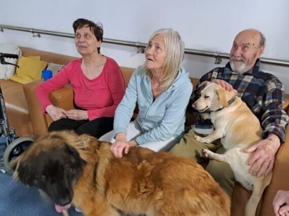 44e4b963-030a-4c52-a215-8754d3ea99da