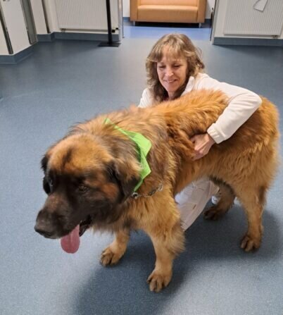 4ac11fed-988c-4e19-8eec-47bd4264c285