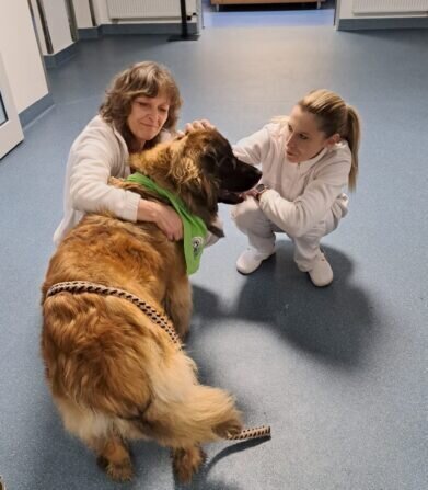 98337274-c06e-44e0-8f3c-d42fce6be790