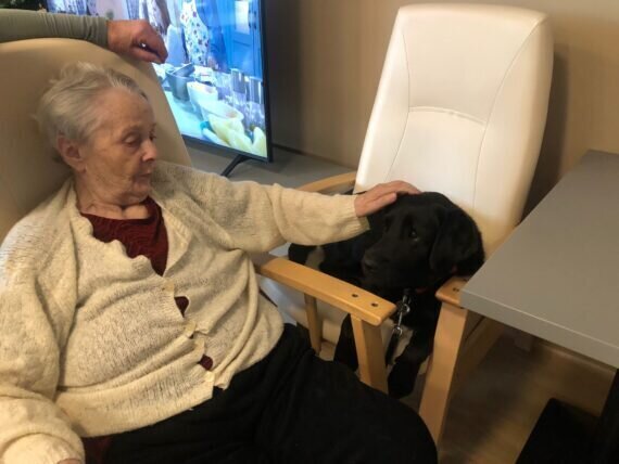 IMG-20240112-WA0037[1]