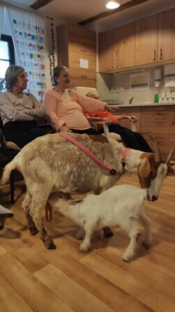 IMG_20240115_101536_1