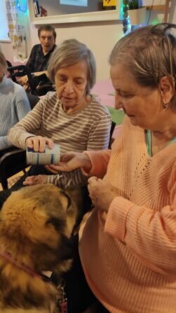 IMG_20240115_102726_1