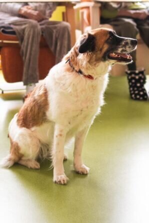 PHOTO-2024-01-30-12-29-15