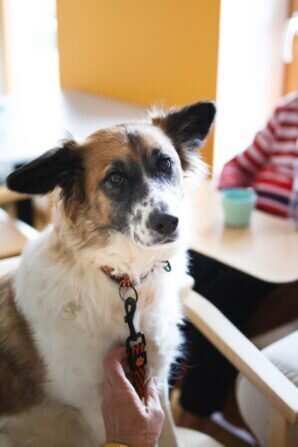 PHOTO-2024-01-30-12-29-18 2