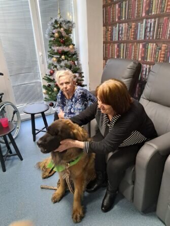 bcf6baa0-5cb4-4dba-8756-86b6ede7fc18