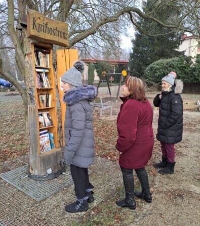 c31510b0-7a63-4291-913d-92736fec97a6