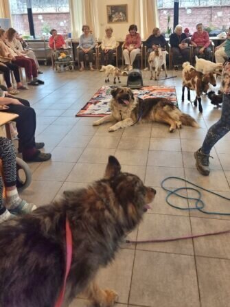 417440536_371117132297948_4091789319970829265_n