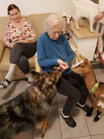 417474873_371115125631482_4916614378338353116_n