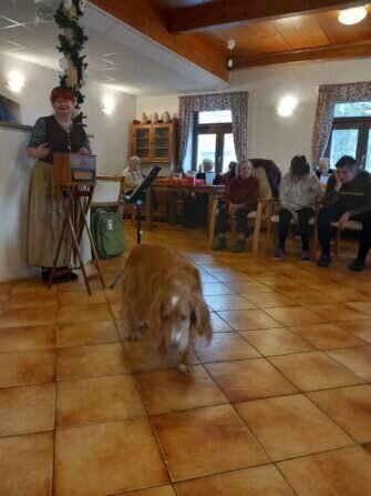 422871429_7227404887282328_8764780898165664763_n