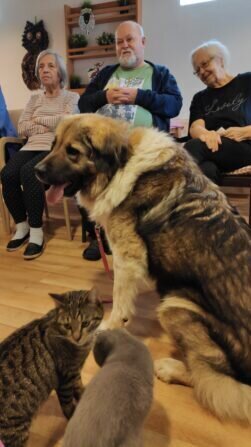 IMG_20240213_101342_1