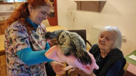 IMG_20240213_102554_1