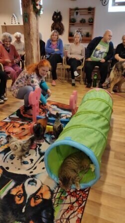 IMG_20240213_102809_1