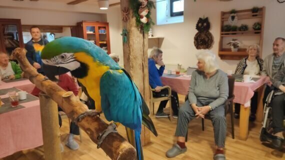 IMG_20240220_103247_1