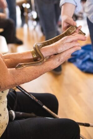 PHOTO-2024-02-12-13-32-15