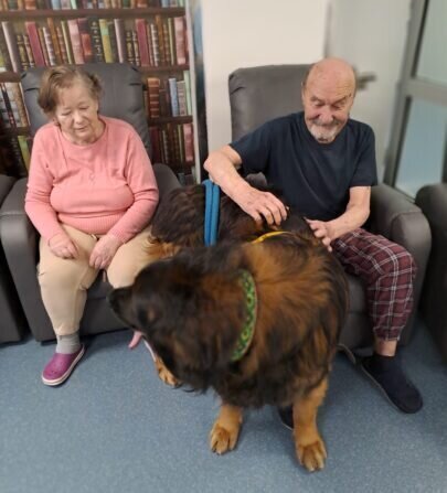 3b613379-8e21-454c-9a50-ddc1aac7f2ef