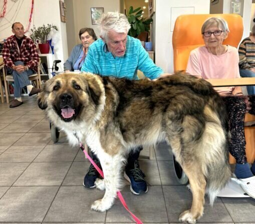 417678220_391567180252943_5553459163165178665_n