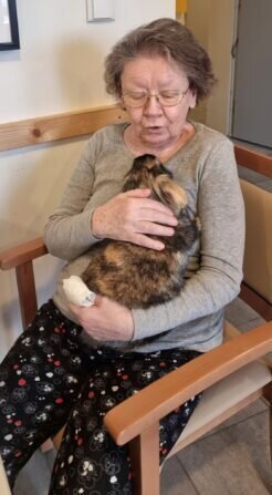 419567172_393863323356662_7516080199701265454_n