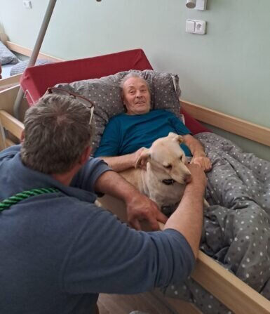 41b1f2e8-d87b-4bf4-a497-37813ffada30