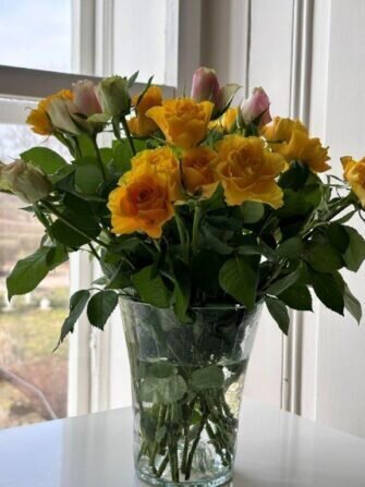 429453139_1344015526999477_7208276443566623132_n