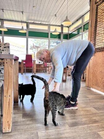 433958435_966166244937829_8187739263169187643_n