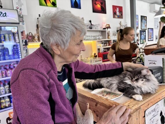 433975445_1028521862188472_6066608304352776547_n