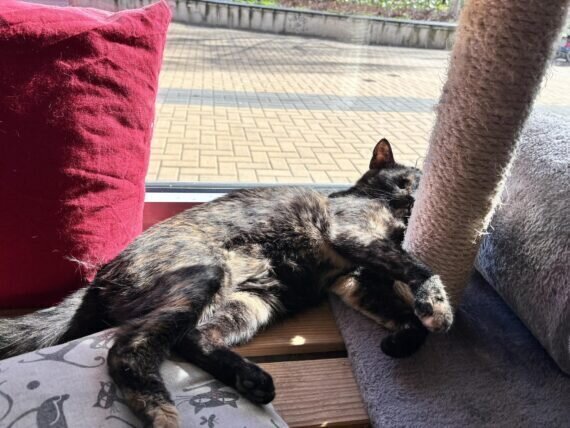 433980108_812434277590862_4339471262338628368_n