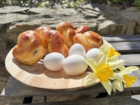 433980820_1449876828946113_3380916473499591951_n