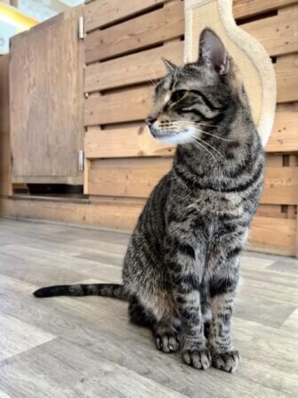 433982096_953161919253365_387452704631772085_n