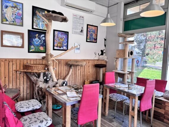 433995392_403415638968402_2102658964554673900_n