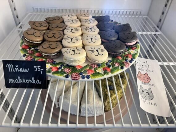 434009691_781831507343320_2834587303504957395_n