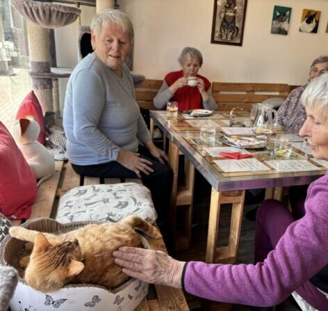 434050937_270193896048067_5155817800529111542_n