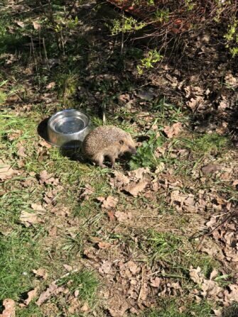 434194057_1526671797892705_308934784266892636_n