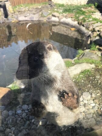 434196318_918918496581500_5636631171922012347_n