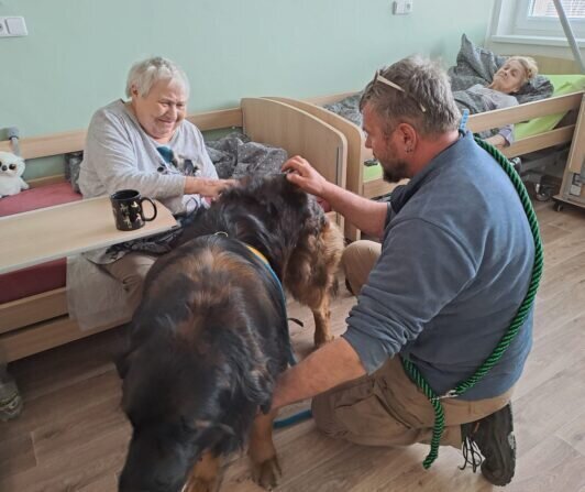 4a27332a-13de-49f3-9001-8126d90dc893