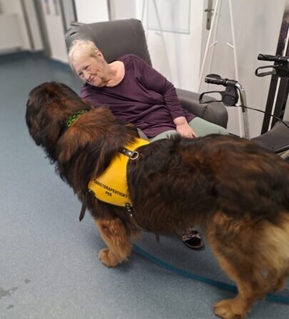 4d8a5e39-e5c1-490d-9535-605e8edb6a25