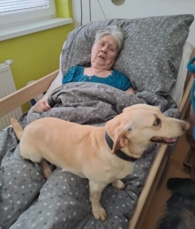 8f8f3756-0071-4d8d-925b-0d85c58e6eaf