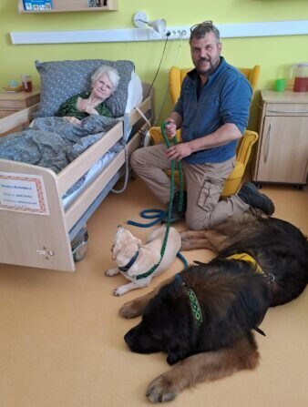 91906ae6-3487-42cd-a1d2-f125fc7c574f