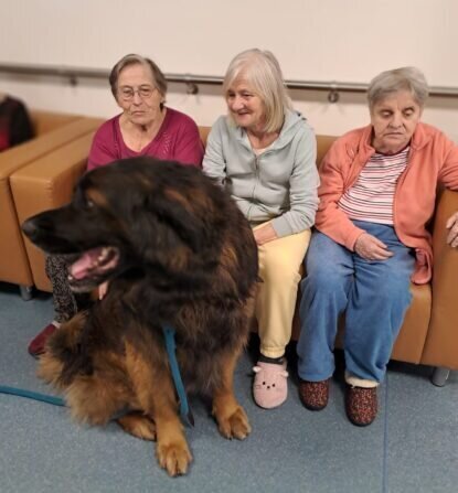 e037ae78-5599-47f7-bd43-f23d62587389