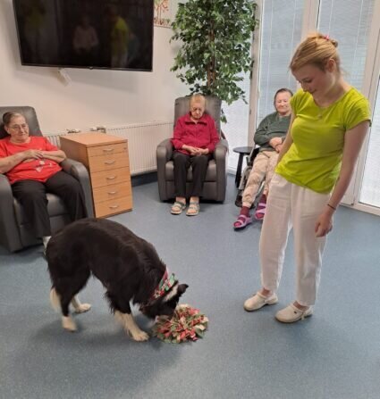 0db4b61b-c413-4d7f-b3c3-439e1de33ced