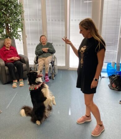 1f4f6d56-7f55-4f0a-8e83-f64b4069a72e