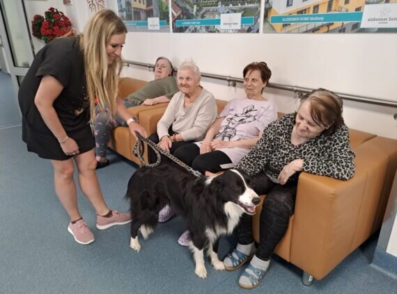 2bd50a3a-fd23-468f-99c1-2343127e455f