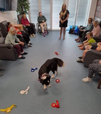 37f81d02-6d70-41ff-af88-2617917e6c34