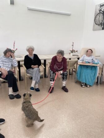 420177599_355416974166682_2035672143798497791_n