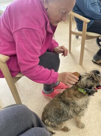 420242549_355416740833372_7115051306977648812_n