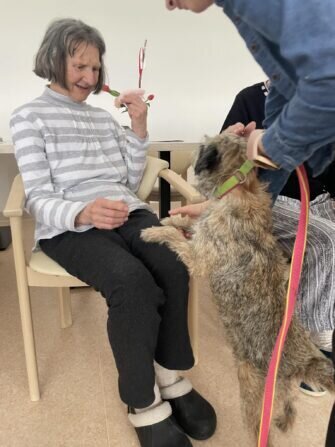 434581767_355417030833343_1151241973949904030_n