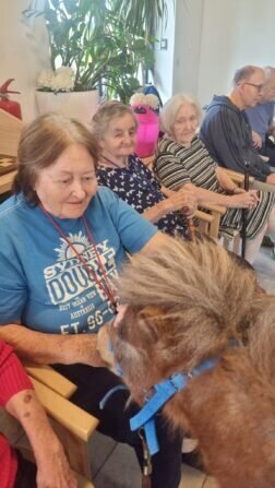 434634249_405911565485171_2165694495173337431_n