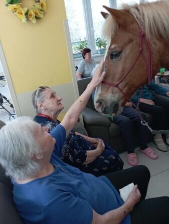 437546148_833804255453277_463723175831910103_n