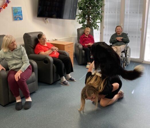 5a986896-4716-4cd8-96c8-fefa53584c76