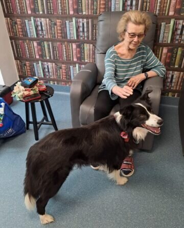 823da9f8-cd9b-454a-84f1-126a01a19774